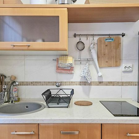 Apartments Maria Novigrad Istria Εξωτερικό φωτογραφία
