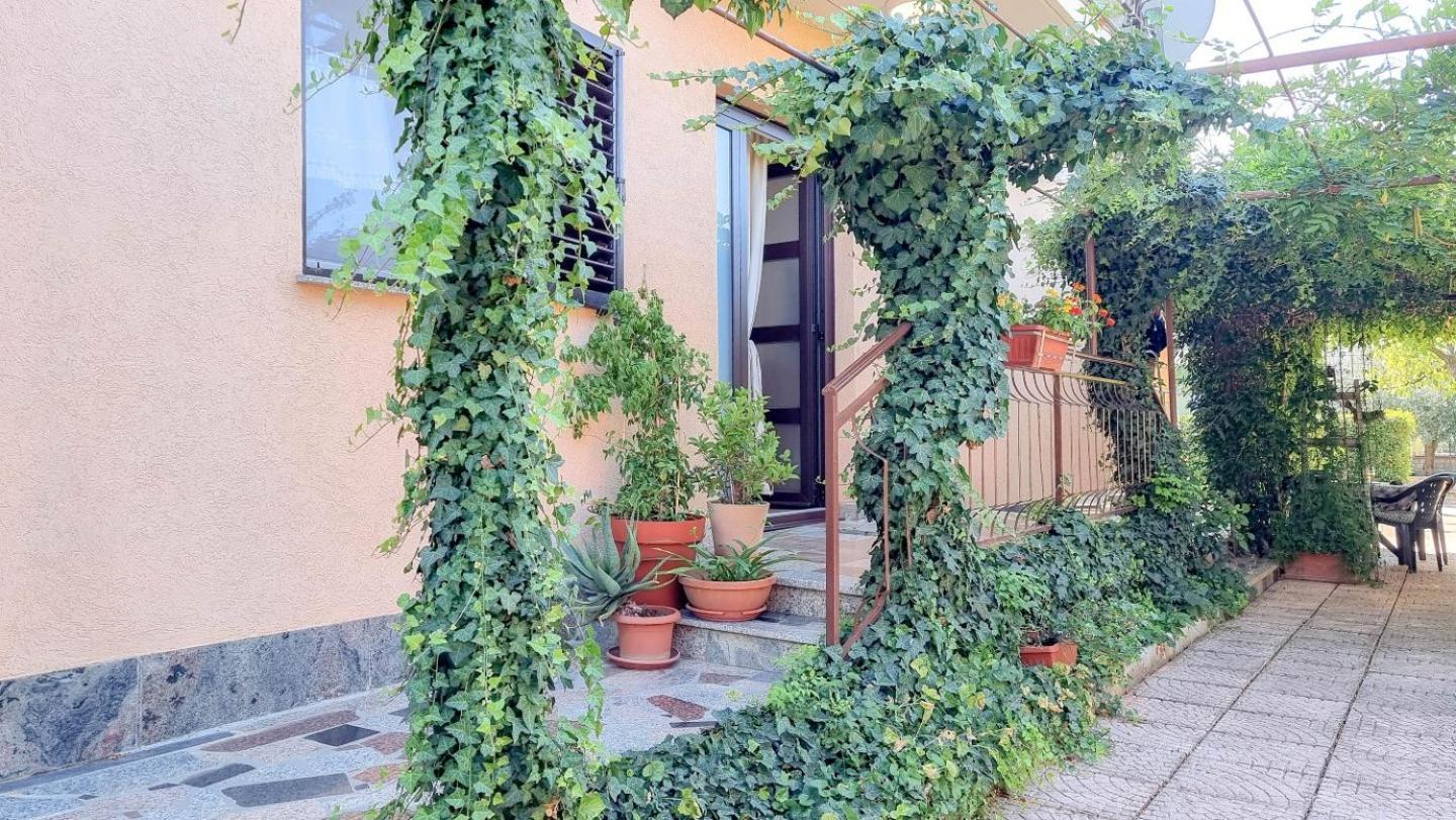 Apartments Maria Novigrad Istria Εξωτερικό φωτογραφία